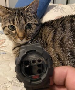 G-Shock GD120MB Black 28 81vndOa0 wL