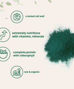 Micro Ingredients Organic Chlorella Powder, 10 Ounce, Broken Cell Wall, Rich in Vegan Proteins & Vitamins, Raw, Bulk Premium Chlorella Supplement, Vegan Friendly, Non-Irradiation 10 Ounce (Pack of 1) 22 81voexiXiCL
