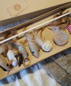 The Natural Pet Company Cat Toys Collection in Gift Box 34 81vok2PdeL