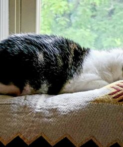 PHNAM Throw Blanket with Fringe for Couch Bed Soft Decorative Cozy Woven Knit Warm Bed Throws Reversible for Chair, Sofa, Living Room, Bedroom (51x63 inches)(B) 25 81vpuYtkVL