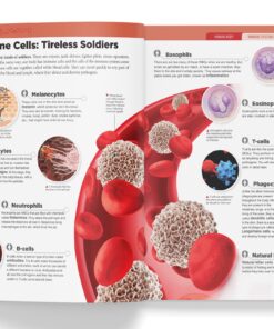 Knowledge Encyclopedia: Human Body (Knowledge Encyclopedia For Children) Hardcover 11 81vqgpgtEL