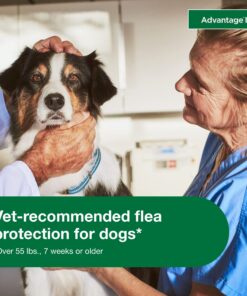 Advantage II XL Dog Vet-Recommended Flea Treatment & Prevention | Dogs Over 55 lbs. | 4-Month Supply 4-Pack 28 81vsaWwOV3L