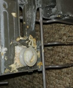 Gorilla Original Gorilla Glue, Waterproof Polyurethane Glue, 4 Ounce Bottle, Brown, (Pack of 1) 1 - Pack 38 81vsgKW3VRL