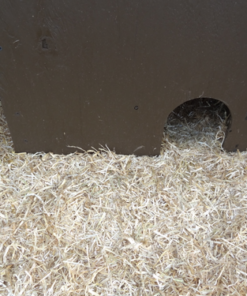 Standlee Hay Company Wheat or Barley Chopped Straw for Animal Bedding 14 81vuHLSZnnL