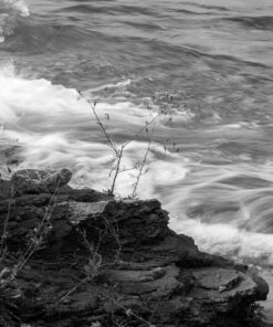 Tamron SP 70-200MM F/2.8 DI VC USD Telephoto Zoom Lens for Nikon (FX) Cameras Nikon FX Cameras 47 81w gaAF5WL