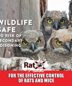 EcoClear Products 620101, RatX All-Natural Humane Rat and Mouse Rodenticide Pellets, 1 lb. Bag 22 81w1KQQtv5L