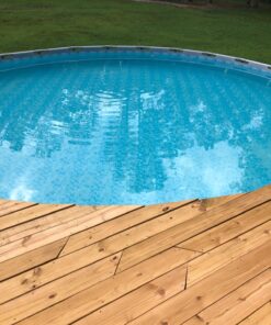 Intex Handheld Rechargeable Vacuum with Telescoping Aluminum Shaft and Two Interchangeable Brush Heads , Gray/Black 38 81w1KbXZ9VL