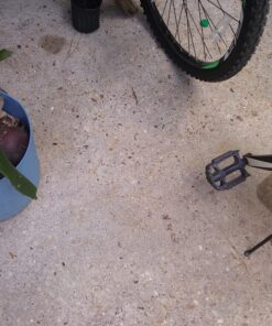 Simple Green 18202 Concrete and Driveway Cleaner, 1 Gallon Bottle PACKED 1 7 81w2qslsEL