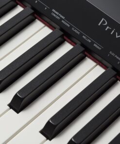 Casio Privia PX-160BK 88-Key Full Size Digital Piano with Power Supply, Black 35 81w3leGmGL