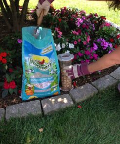 Wagner's 62012 Southern Regional Blend Wild Bird Food, 20-Pound Bag 24 81w3shlydFL