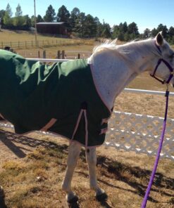 Farnam Apple Elite Horse Electrolyte Powder, Replaces minerals lost in sweat during exercise, extreme weather & stressful conditions, 5 lb., 40 day supply 5 pounds 22 81w7ZhU8EiL