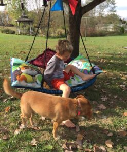 Royal Oak Giant 40" Spider Web Tree Swing, 600 lb Weight Capacity, Durable Steel Frame, Waterproof, Adjustable Ropes, Bonus Flag Set and 2 Carabiners, Non-Stop Fun for Kids (Blue) Blue 36 81w8VxZYf5L