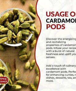 Spicy World Green Cardamom Pods 3.5 Oz - As Seen on Tik Tok - Premium Quality Whole Green Cardamom Pods | Vegan | Large | Aromatic Cardamon 3.5 Ounce (Pack of 1) 24 81w8hASuuDL