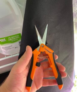 VIVOSUN Gardening Hand Pruner Pruning Shear with Straight Stailess Steel Blades (2Pack Orange) 22 81wCg8EQUiL