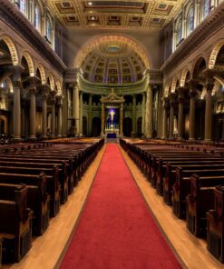 Nikon D750 w/ 24-120mm Lens 51 81wEviXiZL