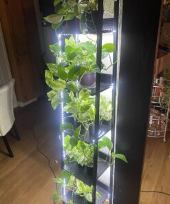 Onforu White LED Strip Lights, 32.8FT 6000K Super Bright Dimmable Tape Light Kit, 600 LEDs Daylight Christmas Rope Light, 12V Flexible Strip Lighting for Mirror, Under Cabinet, Home, Bedroom Daylight White 29 81wG5G81M0L