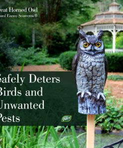 Alternative view of Dalen Fake Owl Decoy to Scare Birds Away from Gardens, Rooftops, and Patios - Scarecrow Provides Chemical-Free Pest Control - Safe and Humane, 16" Great Horned Owl