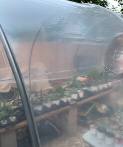 SUNVIEW Greenhouse Clear Plastic Film Polyethylene Covering Gt4 Year 6 Mil 12ft. X 25ft. 22 81wJSA 0S7L