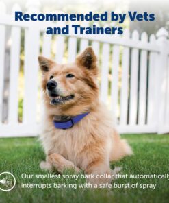 PetSafe Elite Little Dog Spray Bark Collar for Small Dogs from 8 lbs to 55 lbs - Smallest Collar Option - Citronella Spray - No Barking Control Device - PBC00-11283 adjustable 17 81wLyPUtaQL