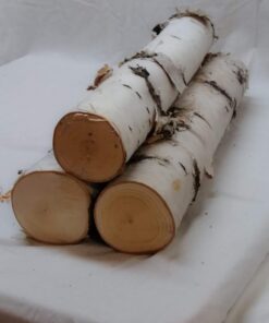 Wilson Set of 3 Large Birch Fireplace Logs (3.5" - 5.5" Diameter x 17”- 18" Long) 12 81wOkAylK2L
