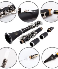 Glory GLY-PBK Professional Ebonite Bb Clarinet with 10 Reeds, Stand, Hard Case, Cleaning Cloth, Cork Grease, Mouthpiece Brush and Pad Brush, Black Black/Silver 19 81wPizZBPFL