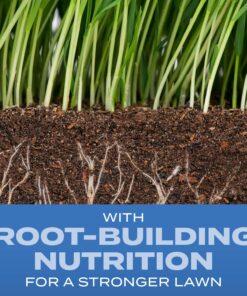 Alternative view of Scotts Turf Builder Grass Seed Sun & Shade Mix with Fertilizer and Soil Improver, Thrives in Many Conditions, 2.4 lbs. 1 Pack 2.4 lb.
