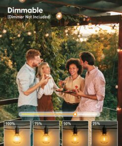 Outdoor String Lights 25 Feet G40 Globe LED Patio Lights with 13 Edison Plastic Bulbs(1 Spare), Waterproof Connectable Hanging Christmas Lights for Backyard Porch Balcony Party Xmas Decor, Black Black - LED 25 ft 25 81wUidHl7pL