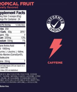 GU Energy Roctane Ultra Endurance Energy Drink Mix, 3.44-Pound Jar, Tropical Fruit 12 81wWD13hrVL
