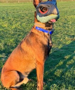 Mattel Jurassic World Dominion Therizinosaurus Dinosaur Mask, Movie-Inspired Role Play Toy with Opening Jaw & Realistic Design Slasher Dino Mask 32 81wWfB4p8gL