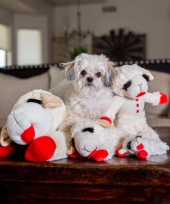 Multipet Plush Dog Toy, Lambchop, 10", White/Tan, Small 10" 28 81wZW3qSZcL