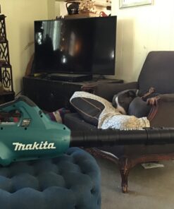 Makita XBU02PT1 36V (18V X2) LXT® Brushless Blower Kit with 4 Batteries (5.0Ah) 24 81wbj8LnAXL