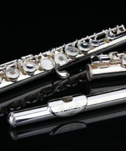Glory HAND-ENGRAVED SILVER PLATED HIGH GRADE FLUTE 17 Hole OPEN/CLOSED C Flute With Case, Tuning Rod and Cloth and Gloves,HIGH GRADE HAND ENGRAVED 17 Open Hole Flower 20 81wcXEKom7L