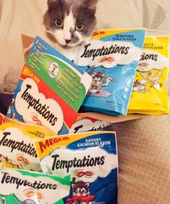 TEMPTATIONS Classic Crunchy and Soft Cat Treats Mega Pack, (5) 6.3 oz. Pouches 28 81whNu56xhL