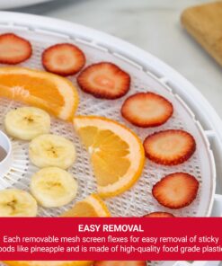 NESCO LM-2-6 Round Plastic Mesh 13 1/2" Clean-A-Screens, for Dehydrators, (Pack of 2) 19 81wiJezvlyL