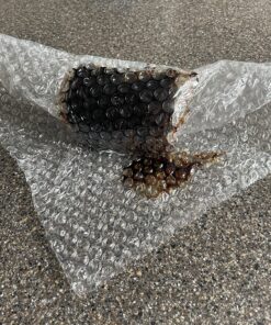 Blue Cattle Truck Trading Co. Gourmet Mexican Vanilla Bean Paste, 8 Ounce (Measured by Weight) 8 Ounce (Pack of 1) 29 81wlw7vUAfL