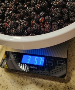 【NASA-Grade】33lb Food Kitchen Digital Scale,【Bread Meat Cookies Measures Precisely】Weight Grams and Ounces for Baking Cooking,1g/0.1oz Precise Graduation,304 Stainless Steel,Waterproof Tempered Glass 47 81wm7eedd0L