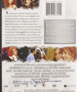 Beaches (Special Edition) DVD April 26, 2005 9 81wpQKJHyL