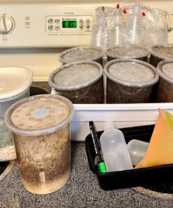 Josh's Frogs The Best MELANOGASTER Fruit Fly Food Media (1.5 lbs/1.35 Quarts - Makes 10 Fruit Fly Cultures) 1.35 Quarts 19 81wqtgiVpVL