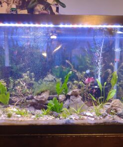 Seachem Stability Fish Tank Stabilizer - For Freshwater and Marine Aquariums, 16.9 Fl Oz (Pack of 1) 27 81wrF5Cp4XL