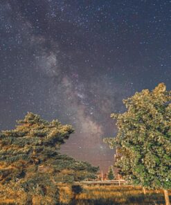 Nikon D500 DX-Format Digital SLR (Body Only), Base 69 81wtZhmasdL