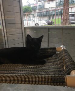 Kitty Cot Original World's Best Cat Perch (Large) Black Color Kitty Cot Large 44 81wuXtYnNL