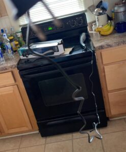 Wahl Deep Tissue Corded Long Handle Percussion Massager - Handheld Therapy with Variable Intensity to Relieve Pain in The Back, Neck, Shoulders, Muscles, & Legs for Arthritis - Model 4290-300 34 81wurm8bduL 1