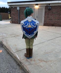 Link Prestige Legend of Zelda Nintendo Costume, Medium/7-8 M (7-8) 38 81wvK2jQKZL