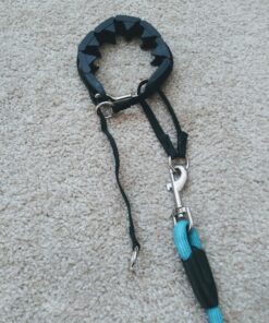 Starmark Pro-Training Dog Collar Large 40 81wxtDAJKbL