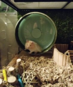 Small Pet Select Premium Small Animal Bedding, Natural Soft Paper Bedding for Small Indoor and Outdoor Pets, Made in USA, Jumbo Size 178 L Pack 42 81x02Ay8pYL