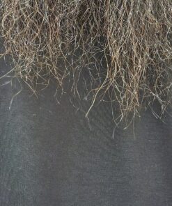 Nizoral Anti-Dandruff Shampoo with 1% Ketoconazole, Fresh Scent, 7 Fl Oz 49 81x4DZe7HtL