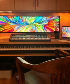 Dell UltraSharp U4919DW 49 inch Dual QHD Curved Monitor - 8ms Response Time, 2X HDMI, 1x DP, 5X USB Downstream, 2X USB Upstream 3.0, 1 x USB Type-C 49 Inches 28 81x4Ze wKL