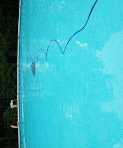 Dolphin Escape Robotic Pool Cleaner (2023 Model) — Massive Top-Loading Filter, Dual Motors, HyperBrush, HyperGrip Tracks, Smart Navigation — For Above Ground & In-Ground Pools up to 33ft 42 81xB3BntTML