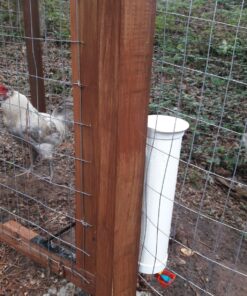 Royal Rooster Chicken Feeder and Waterer Set - Includes 1 Gallon Waterer with 2 Cups and 7lb Feeder for Chickens - Chicken Coop Accessories with Hanging Chicken Poultry Feeder and Chicken Waterer Kit 2-Cup Waterer 50 81xDJvtSxRL