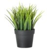 Ikea Artificial Potted Plant, Wheat Grass, 7.75 Inch 17 81xGQkQTK3L